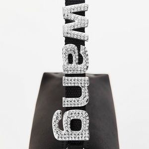 Alexander wang mini bag